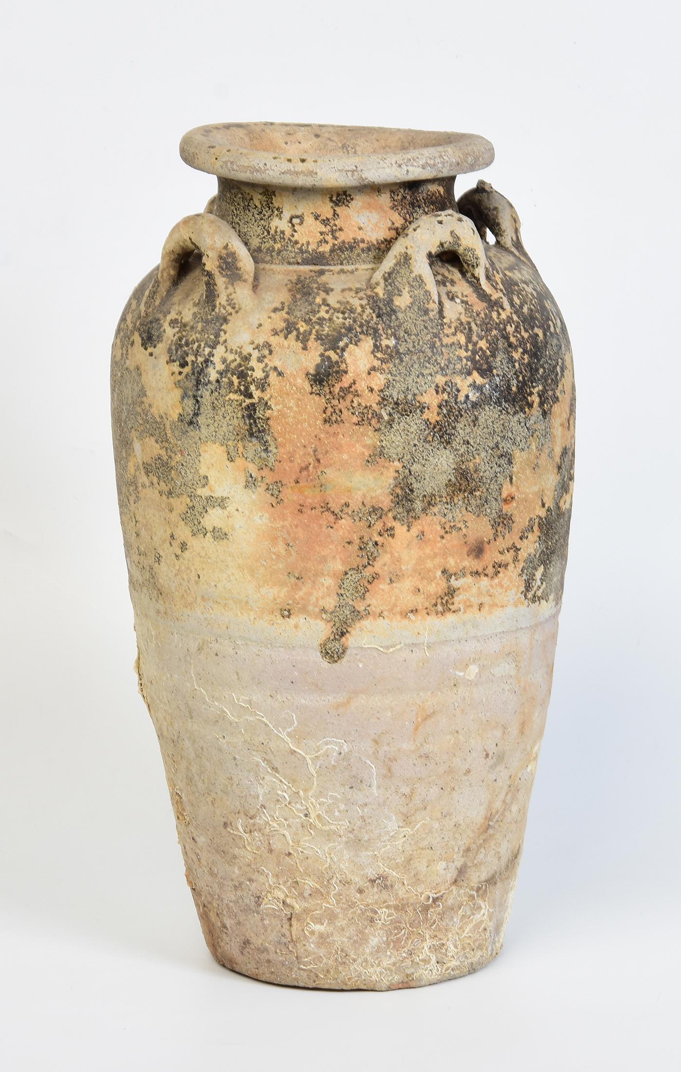14th-16th Century, Sukhothai, Antique Thai Pottery Jar with Shell from Shipwreck For Sale 4