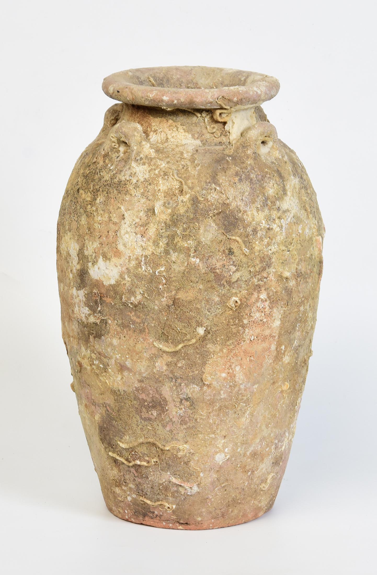 14th-16th Century, Sukhothai, Antique Thai Pottery Jar with Shell from Shipwreck For Sale 4