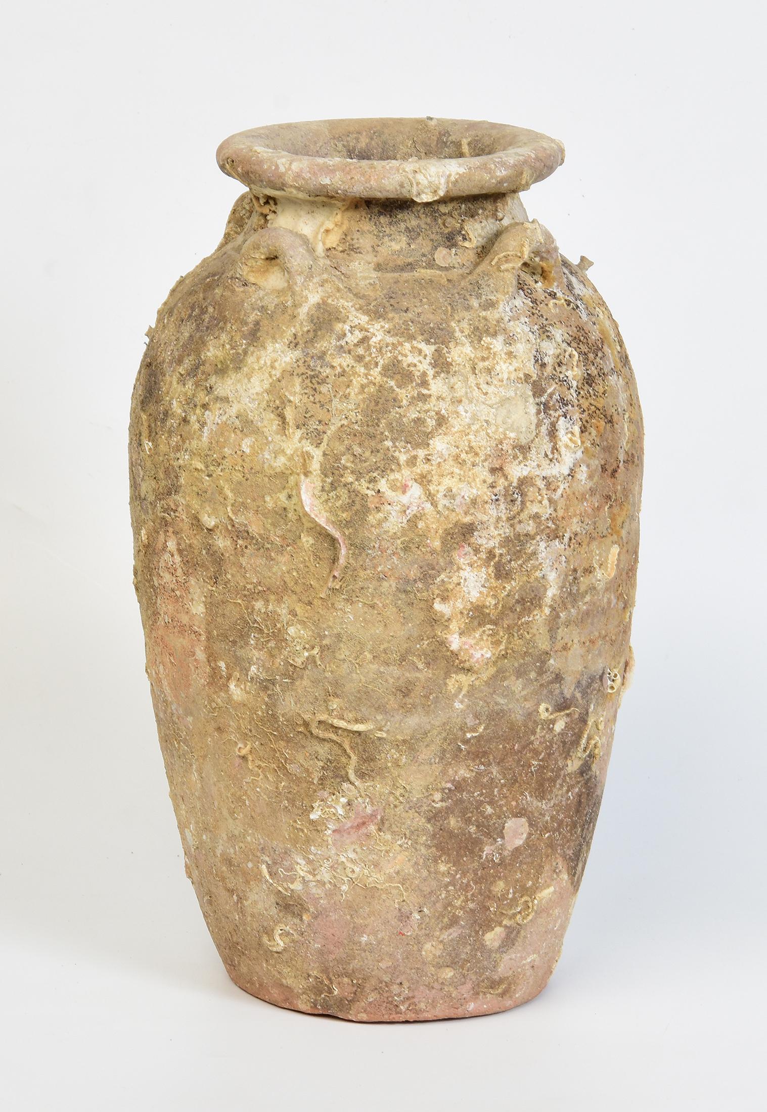 14th-16th Century, Sukhothai, Antique Thai Pottery Jar with Shell from Shipwreck For Sale 5