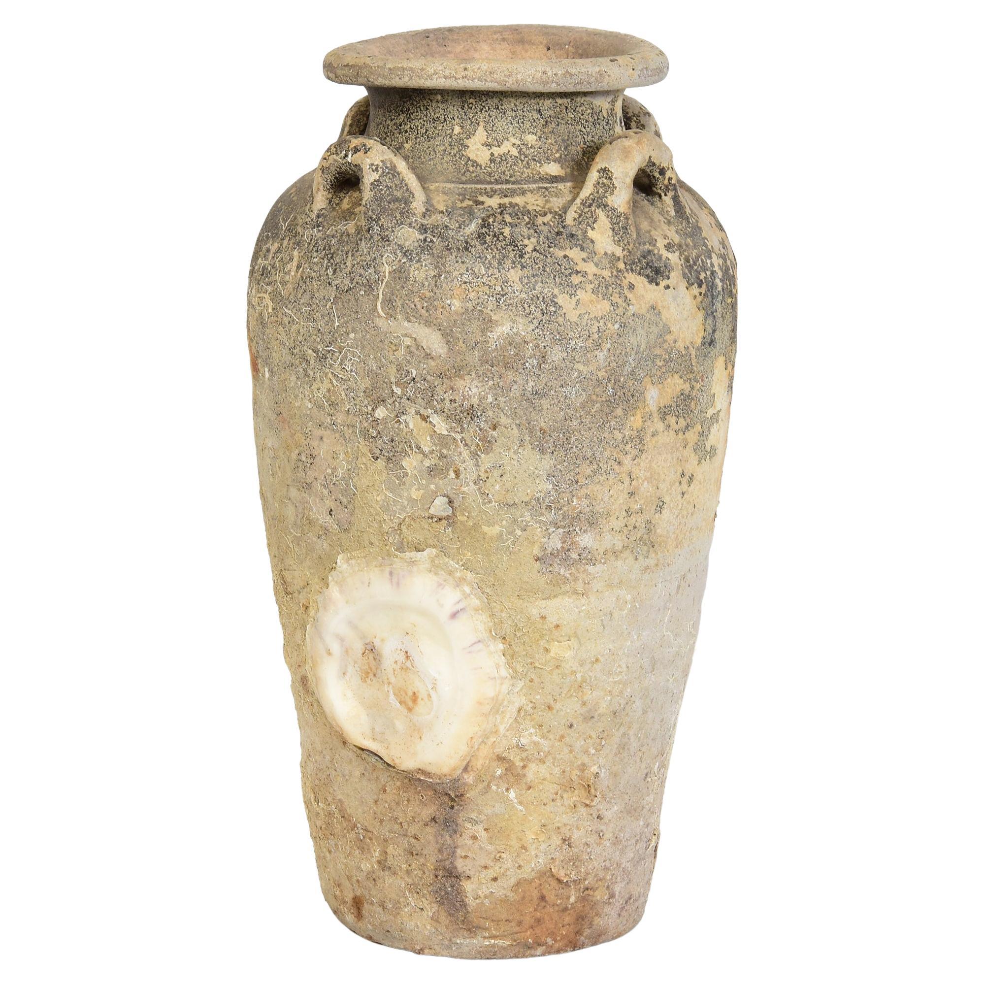 14th-16th Century, Sukhothai, Antique Thai Pottery Jar with Shell from Shipwreck For Sale