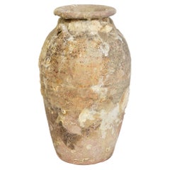 Pot en poterie thaïlandaise antique Sukhothaï du 14e-16e siècle avec coquillages provenant d'un naufrage