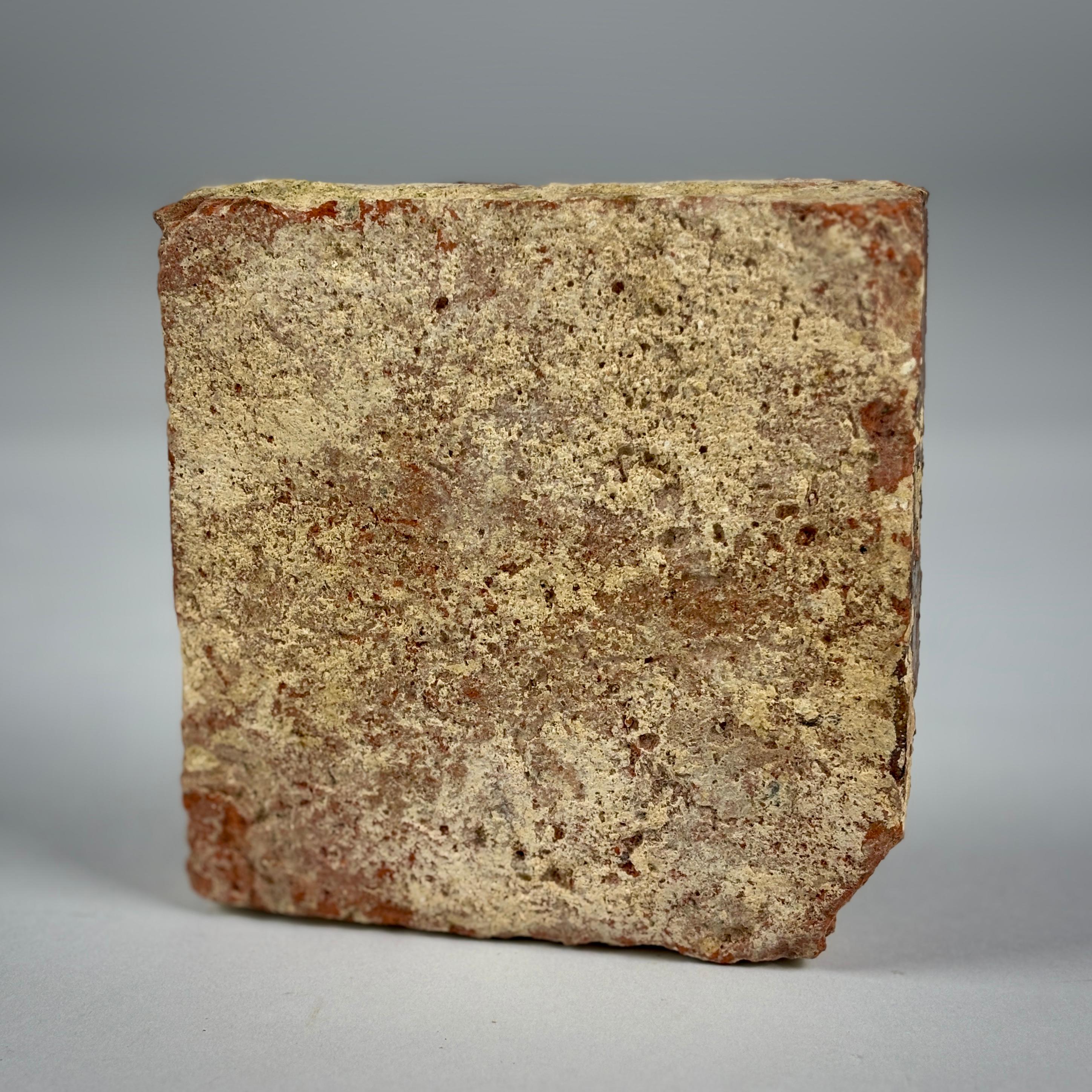 14th Century Medieval Encaustic Slip Glazed Floor Tile In Distressed Condition For Sale In Pease pottage, West Sussex