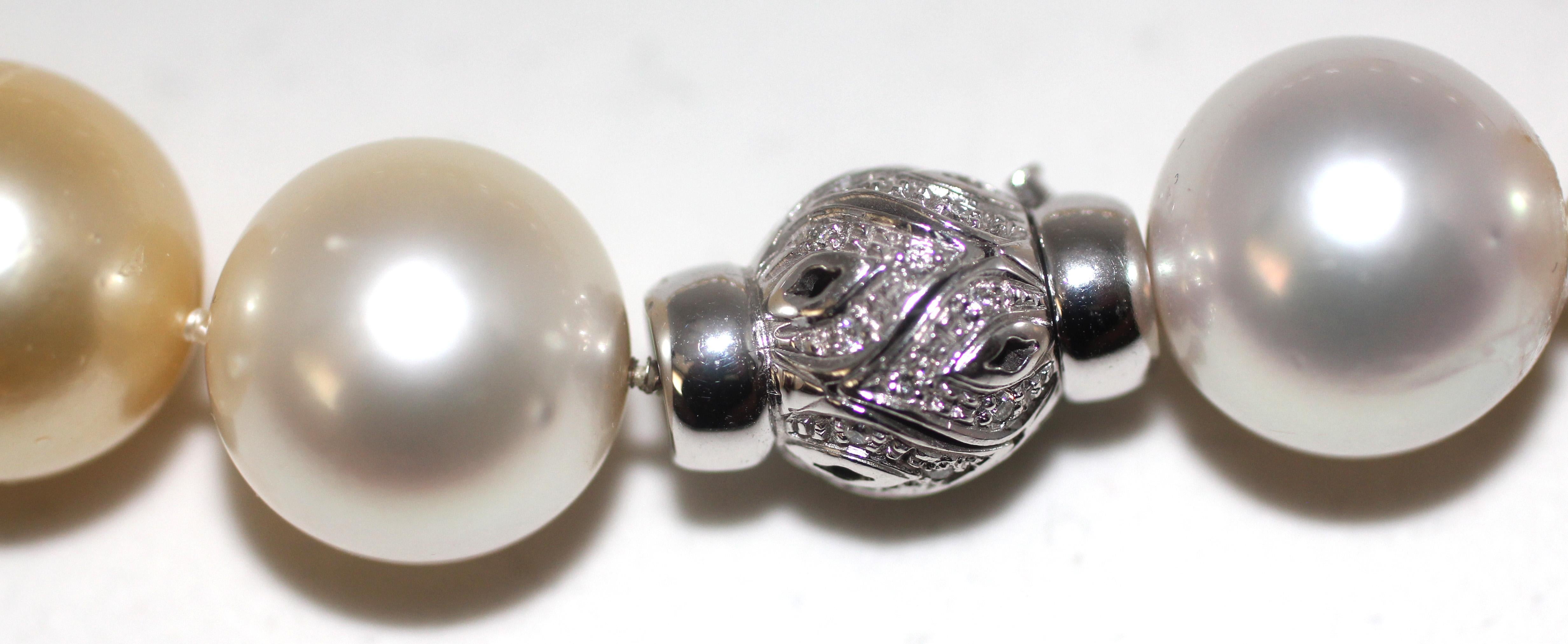 pearl beads png