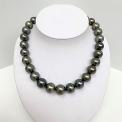 Tahitian Medium Dark Green Round Pearl Necklace with Gold Clasp