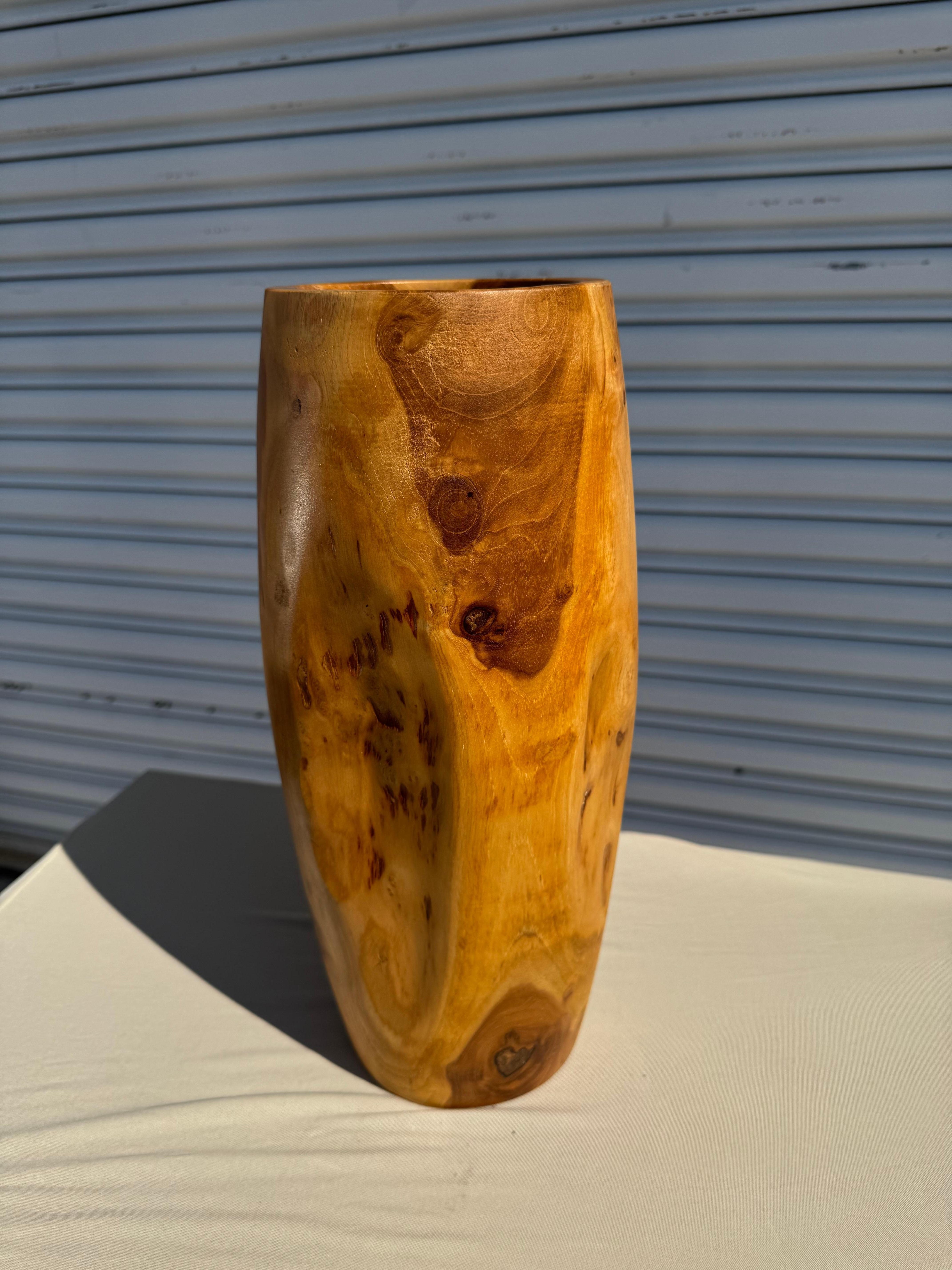 American Craftsman 15