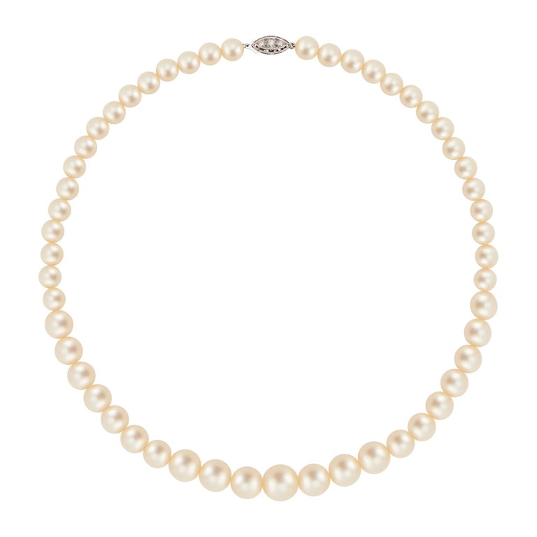 .15 Carat Diamond Cultured Pearl White Gold Necklace For Sale at 1stDibs