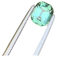 1.5 Cts Seafoam Green Color Cushion Cut Tourmaline Gemstone for Jewellery 7mm