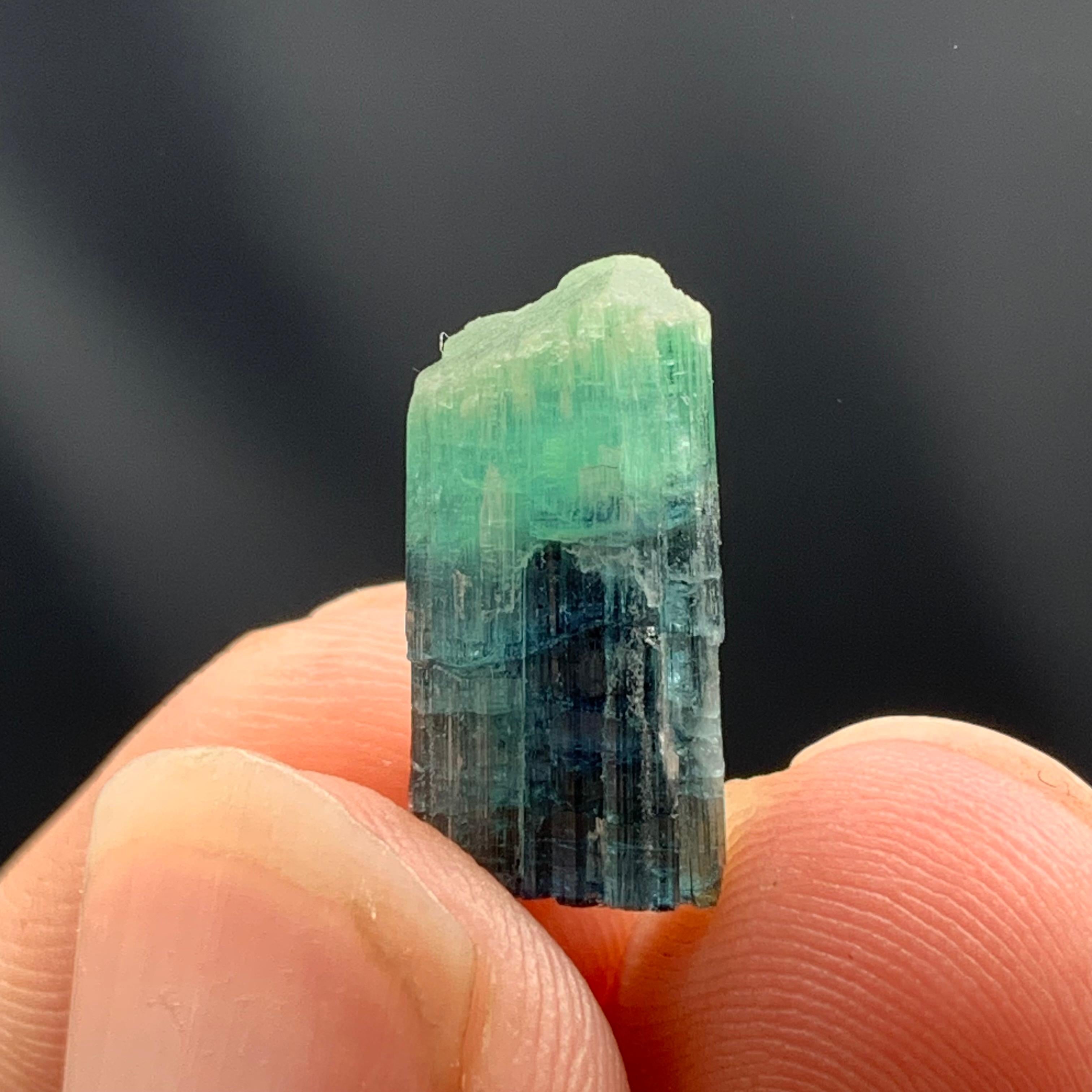 PRODUKTINFORMATION:

Name der Probe: Turmalin-Kristall

Gewicht: 1.5 Gramm

Abmessungen: H: 1,7 x B: 0,8 x T: 0,5 cm

Behandlung: Keine

Herkunft: Dara I Pech, Chapa Dara, Provinz Kunnar, Afghanistan

BESCHREIBUNG:

Dieser exquisite Indicolite
