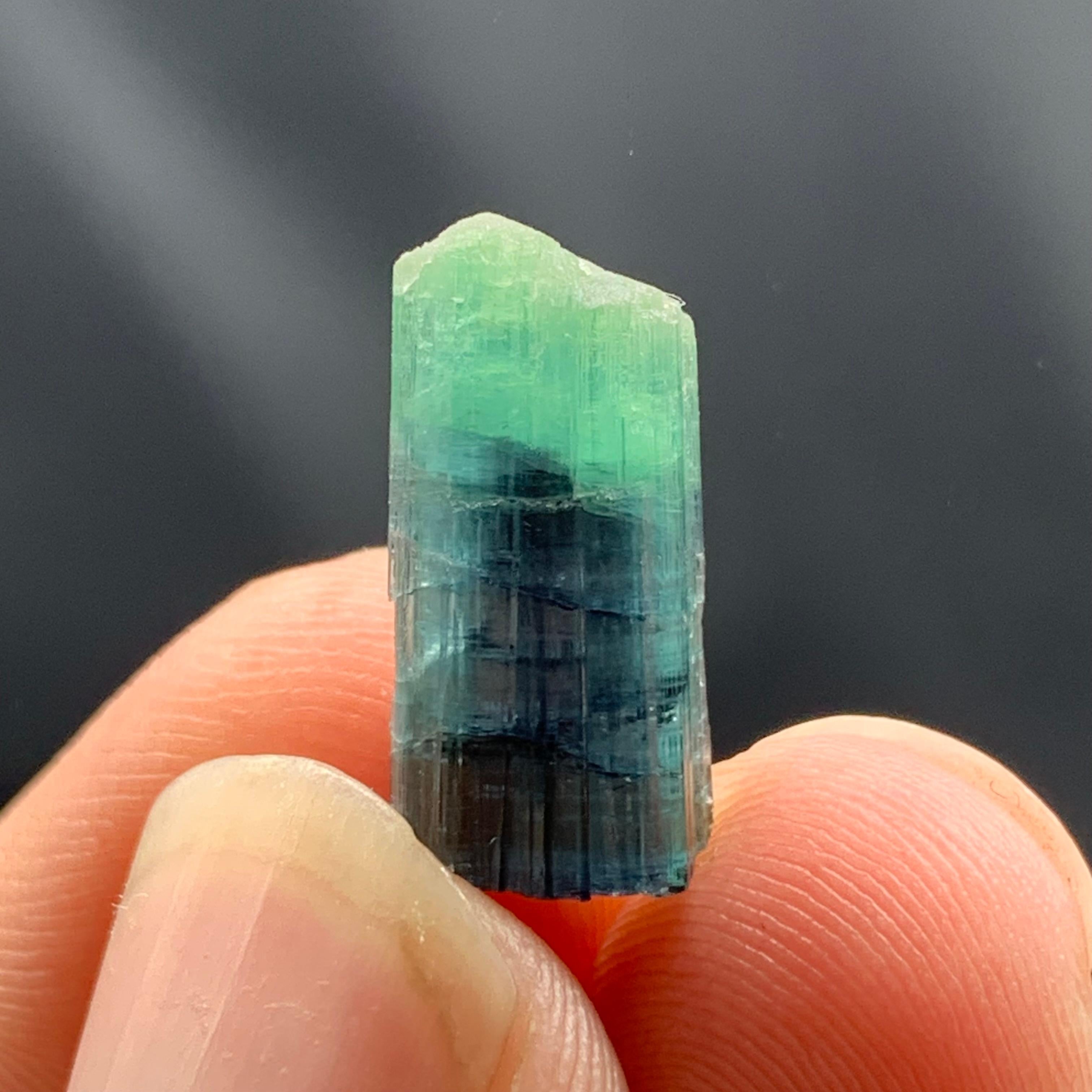 1,5 Gramm massives Stück aus Indicolit-Turmalin-Kristallen aus Afghanistan (Adamstil) im Angebot