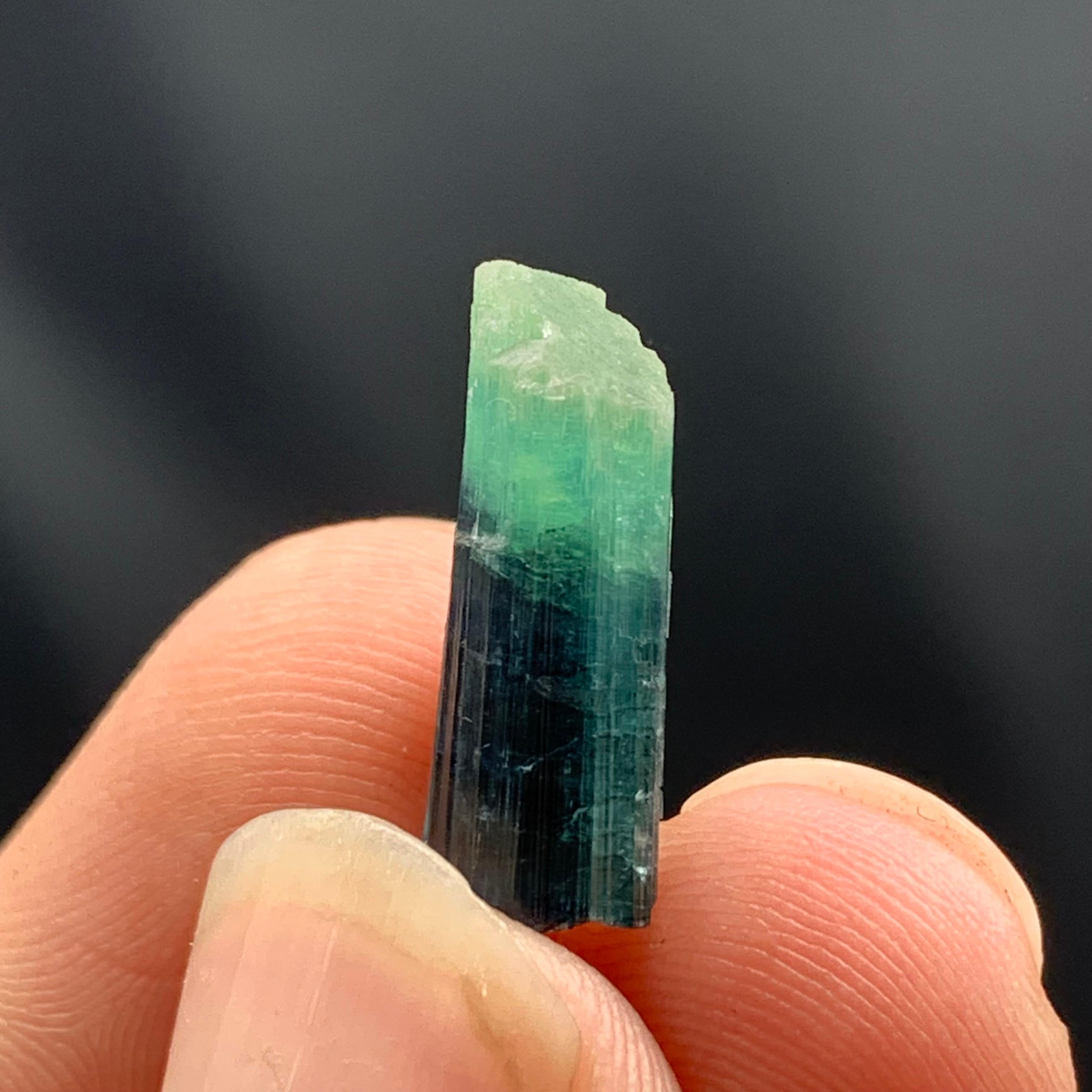 1,5 Gramm massives Stück aus Indicolit-Turmalin-Kristallen aus Afghanistan im Zustand „Gut“ im Angebot in Peshawar, PK