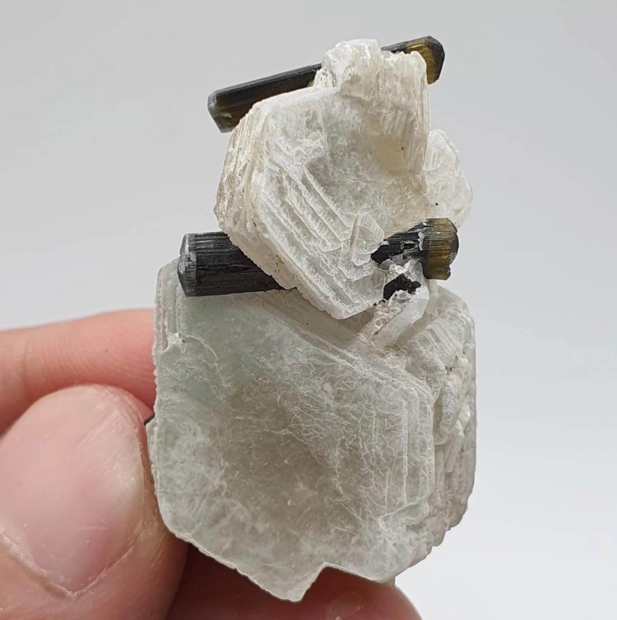 Informazioni sul prodotto:

Tipo di campione: Cristalli di tormalina bicolore ben appollaiati sulla mica muscovite

Peso: 15 grammi

Dimensioni: 4 x 2,5 x 2 cm

Origine: Distretto di Skardu, Gilgit Baltistan, Pakistan

Trattamento: