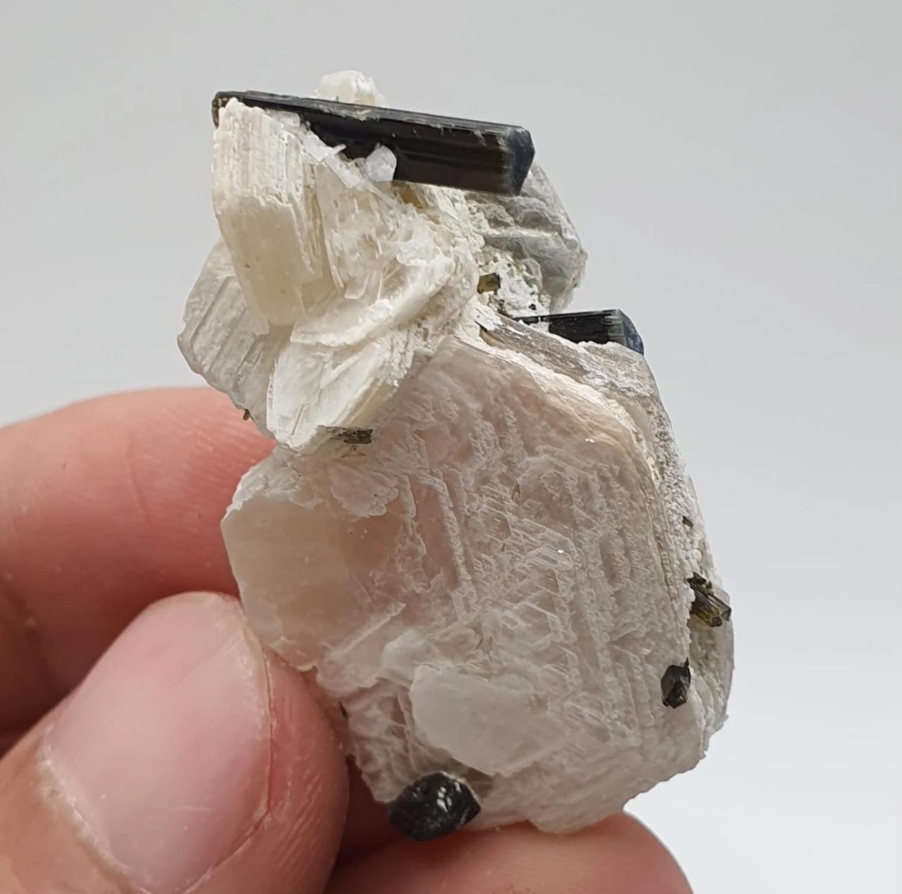 Stile Adam 15 grammi di cristalli di tormalina bicolore ben appollaiati sulla mica muscovite in vendita