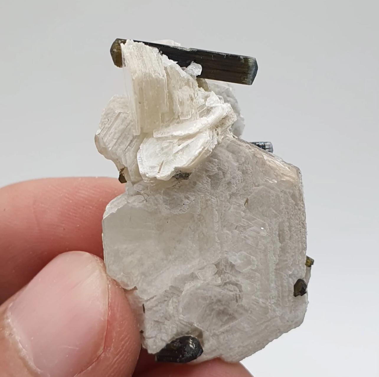 Pakistano 15 grammi di cristalli di tormalina bicolore ben appollaiati sulla mica muscovite in vendita
