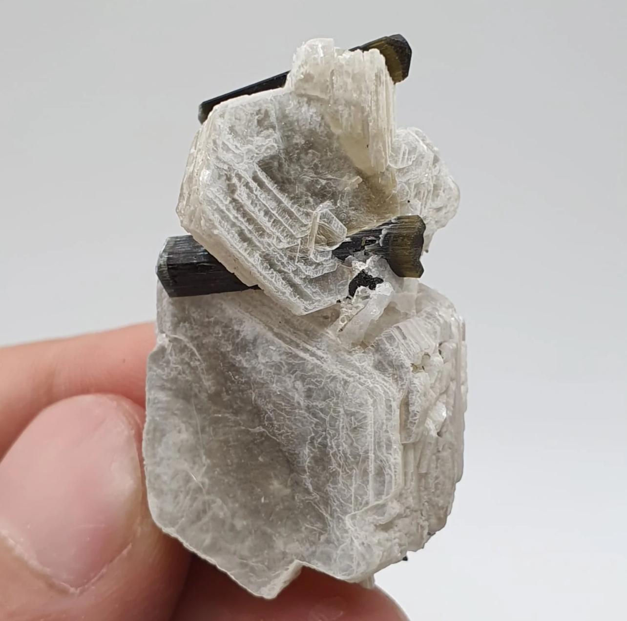15 grammi di cristalli di tormalina bicolore ben appollaiati sulla mica muscovite In condizioni buone in vendita a Peshawar, PK