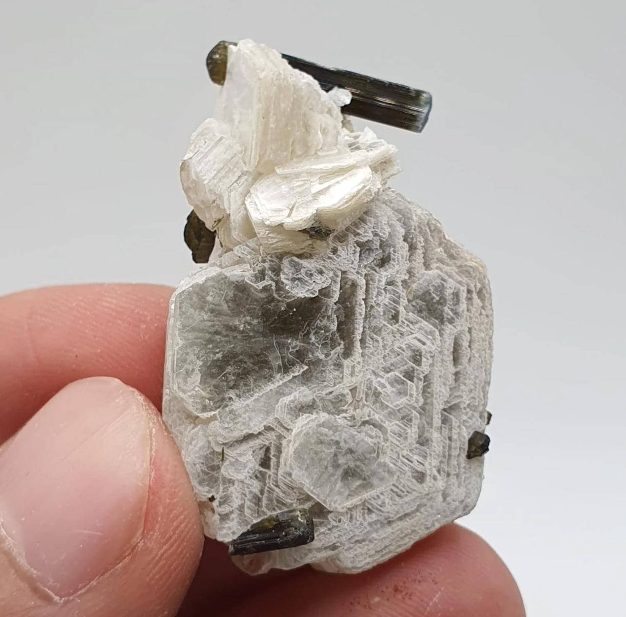 XXI secolo e contemporaneo 15 grammi di cristalli di tormalina bicolore ben appollaiati sulla mica muscovite in vendita