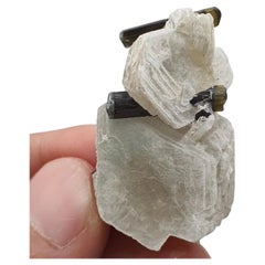 15 grammi di cristalli di tormalina bicolore ben appollaiati sulla mica muscovite
