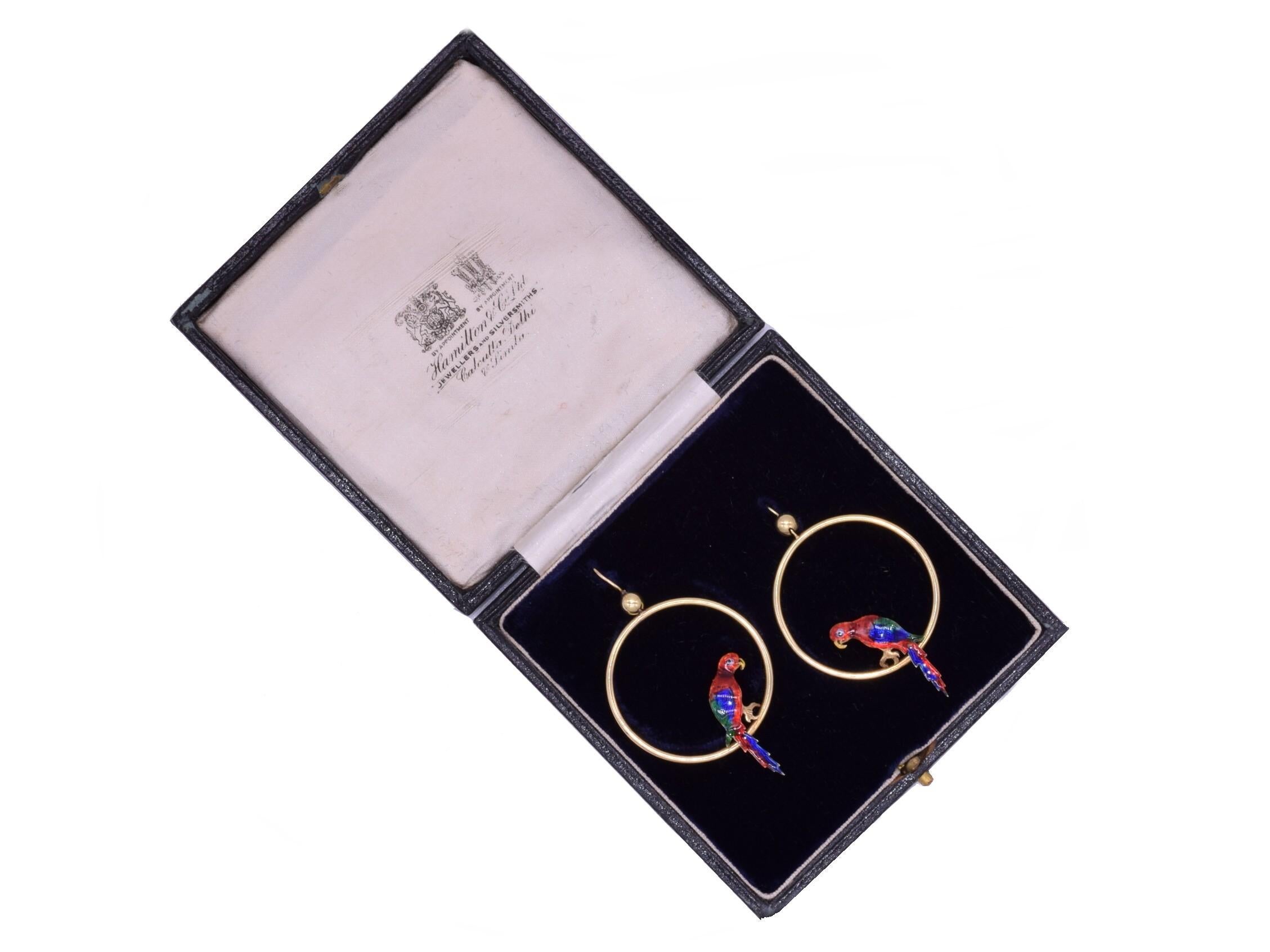 parakeet earrings
