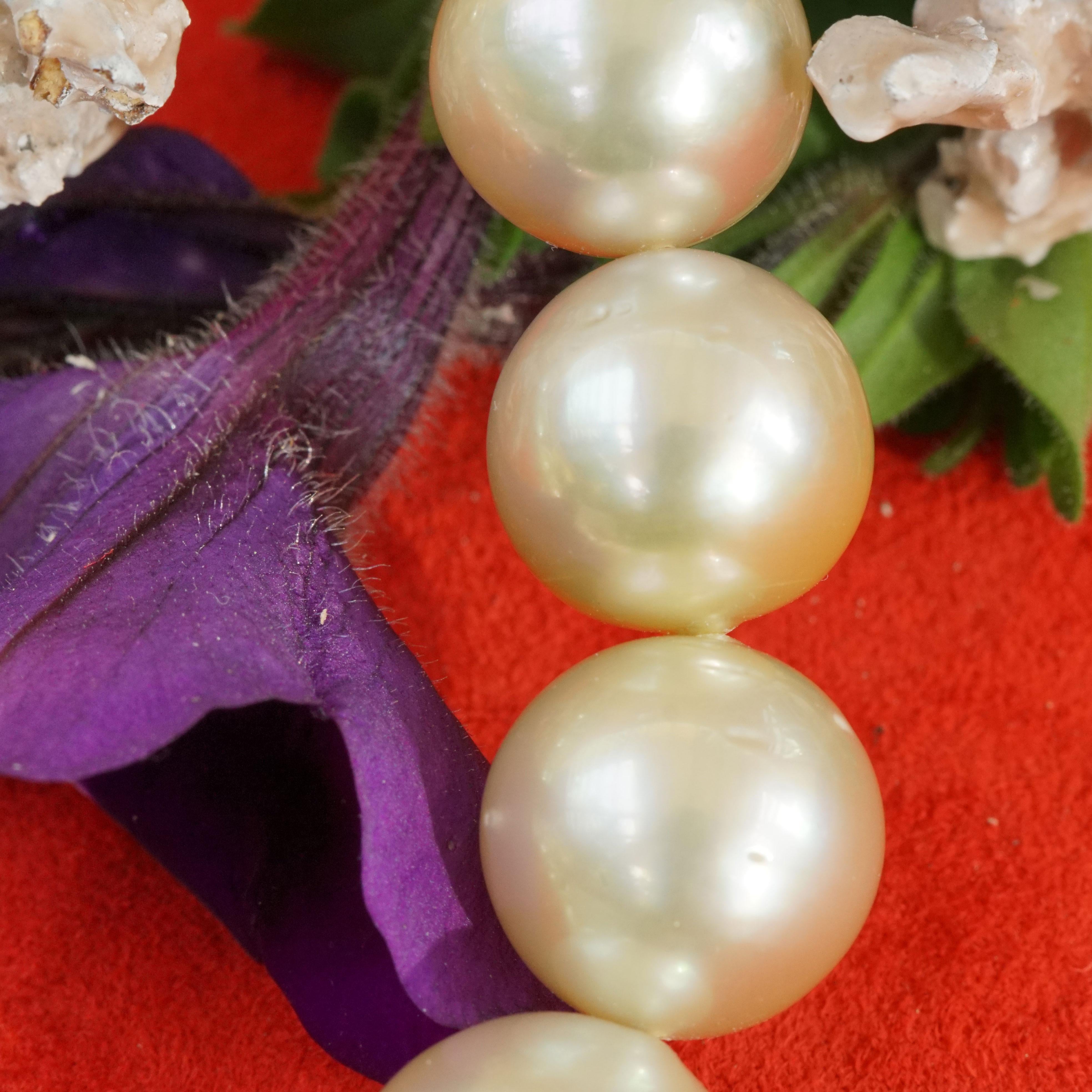 beeindruckende Größe, eine wunderschöne natürliche champagnerfarbene Südsee-Zuchtperlenkette bestehend aus 31 Perlen, 15,1 x 13 mm, heller Goldton mit Obertönen in zartem Grün, Rosa und Silber, AAA+, feinster Lüster, kaum Wachstumsspuren, rund, mit