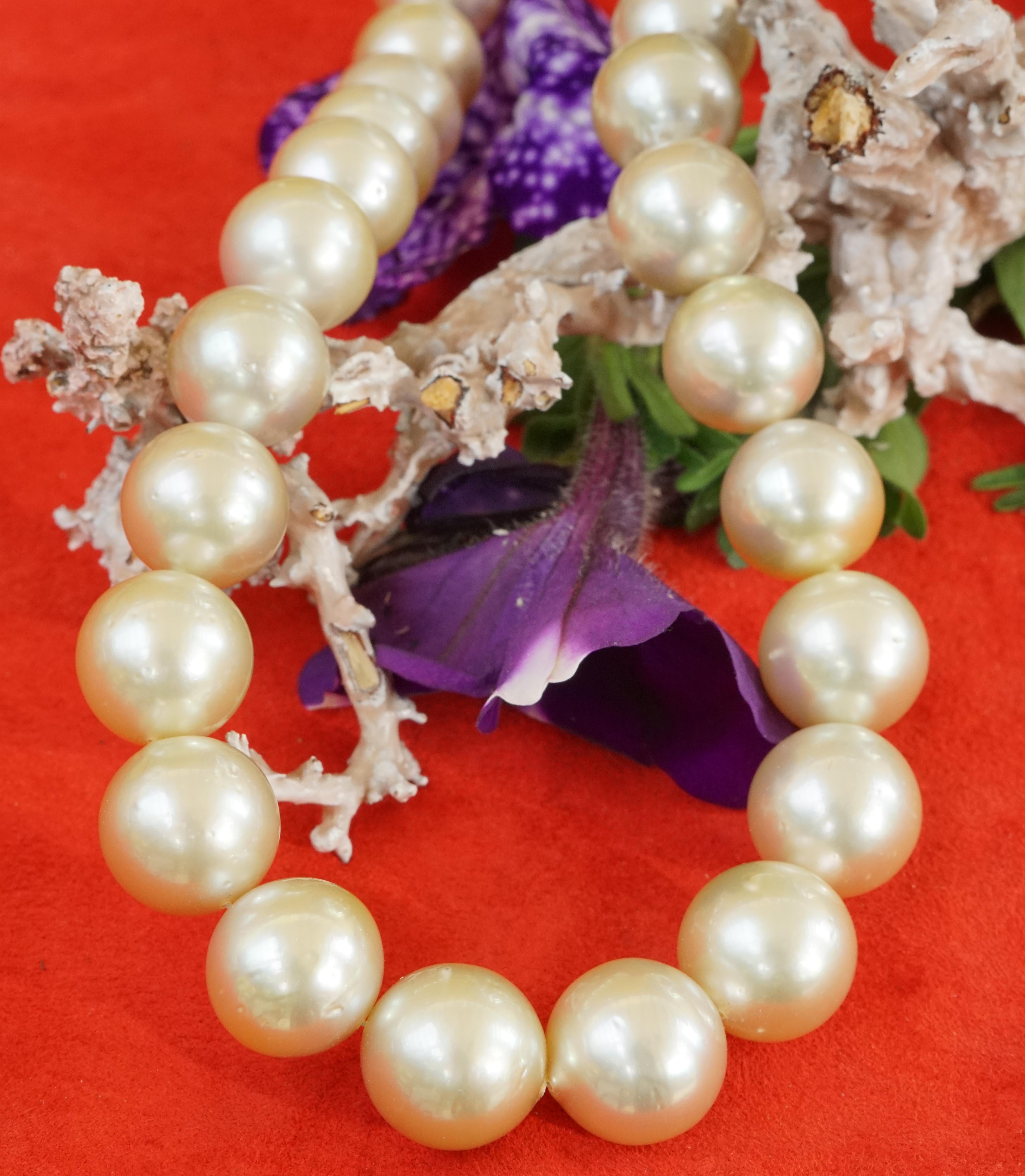 Modern 15 to 13 mm AAA+ South Sea Pearl Necklace Light Champagne Finest Luster round  For Sale
