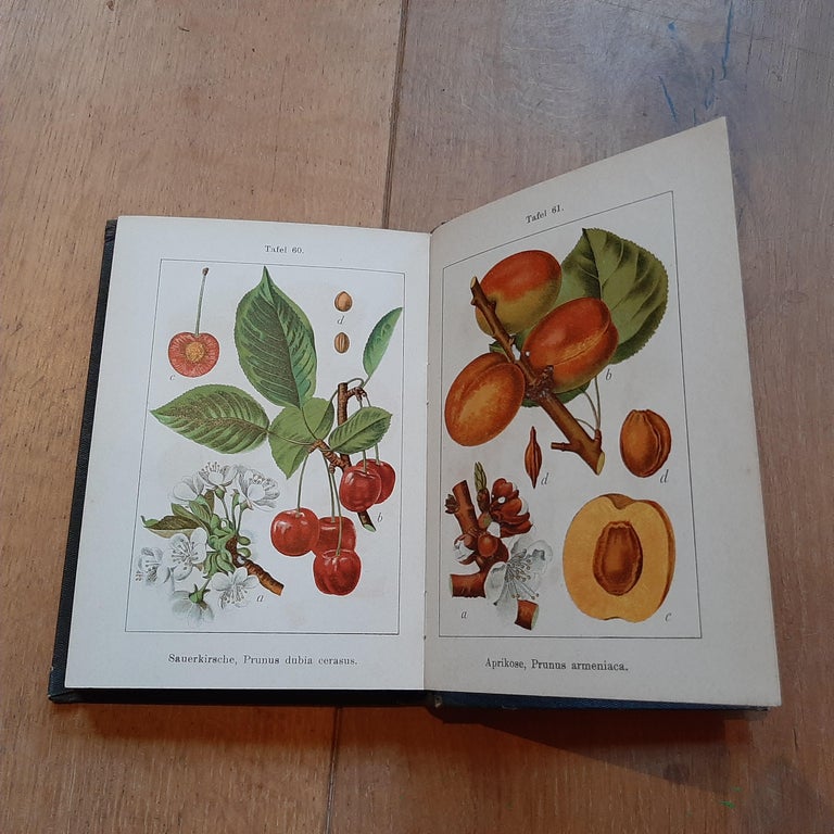 15 Volumes of 'Flora van Deutschland' by J. Sturm, 1906-1907 For Sale at  1stDibs