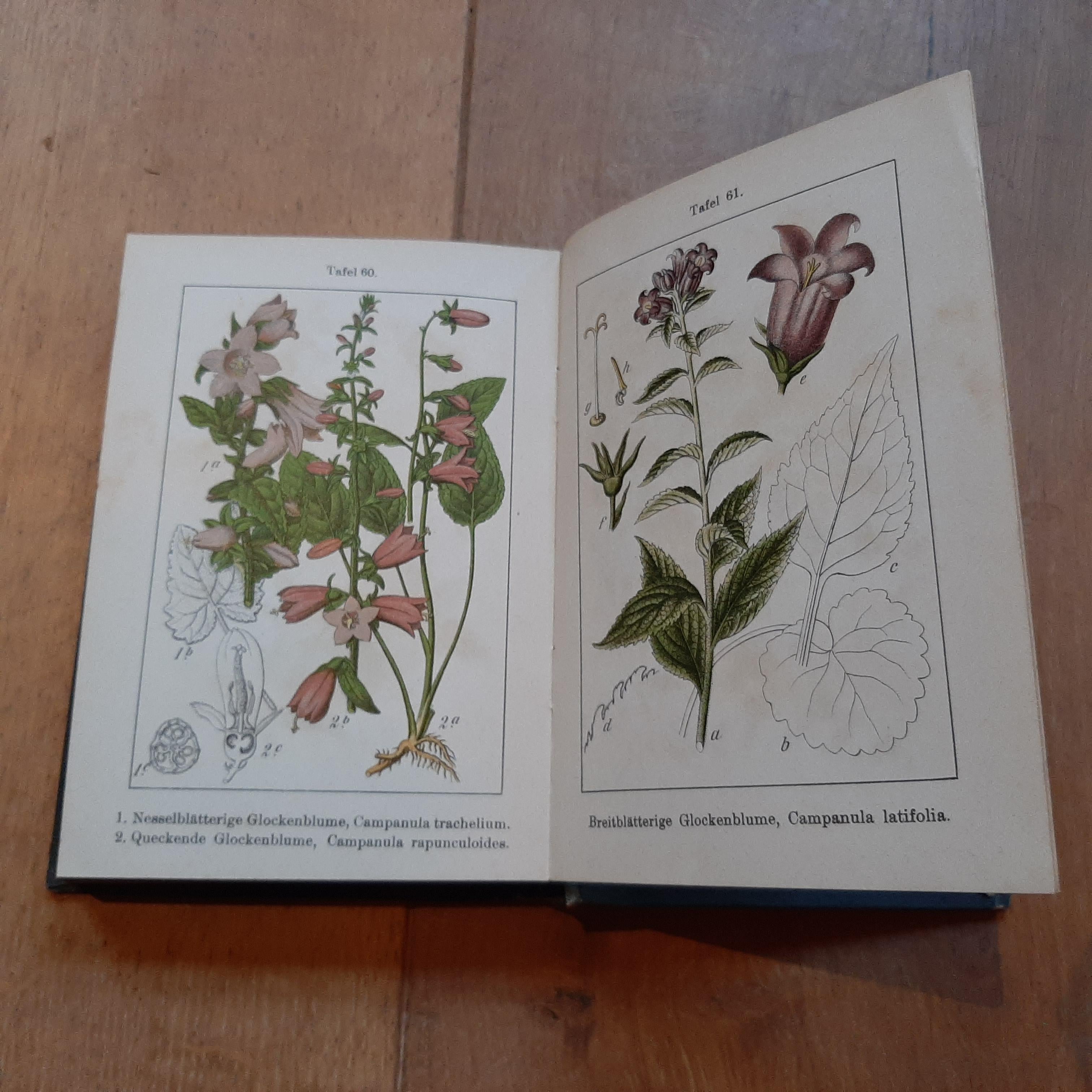 15 Volumes of 'Flora van Deutschland' by J. Sturm, 1906-1907 In Good Condition For Sale In Langweer, NL