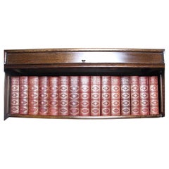 15 Volumi Vintage Charles Dickens Libri da esposizione biblioteca