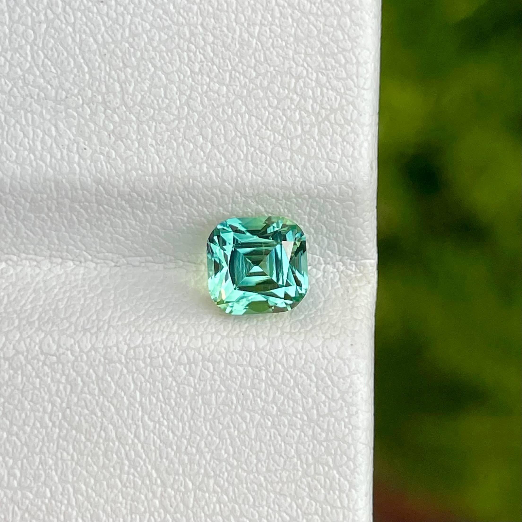 1.50 Quilates Turmalina Suelta Forma Marina Piedra Talla Cojín Gema Afgana en Nuevo estado para la venta en Bangkok, TH