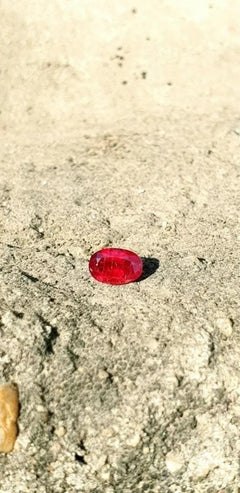 1,50 carati di rubino del Mozambico non riscaldato rosso sangue Pietra tagliata Rubino naturale AAA+