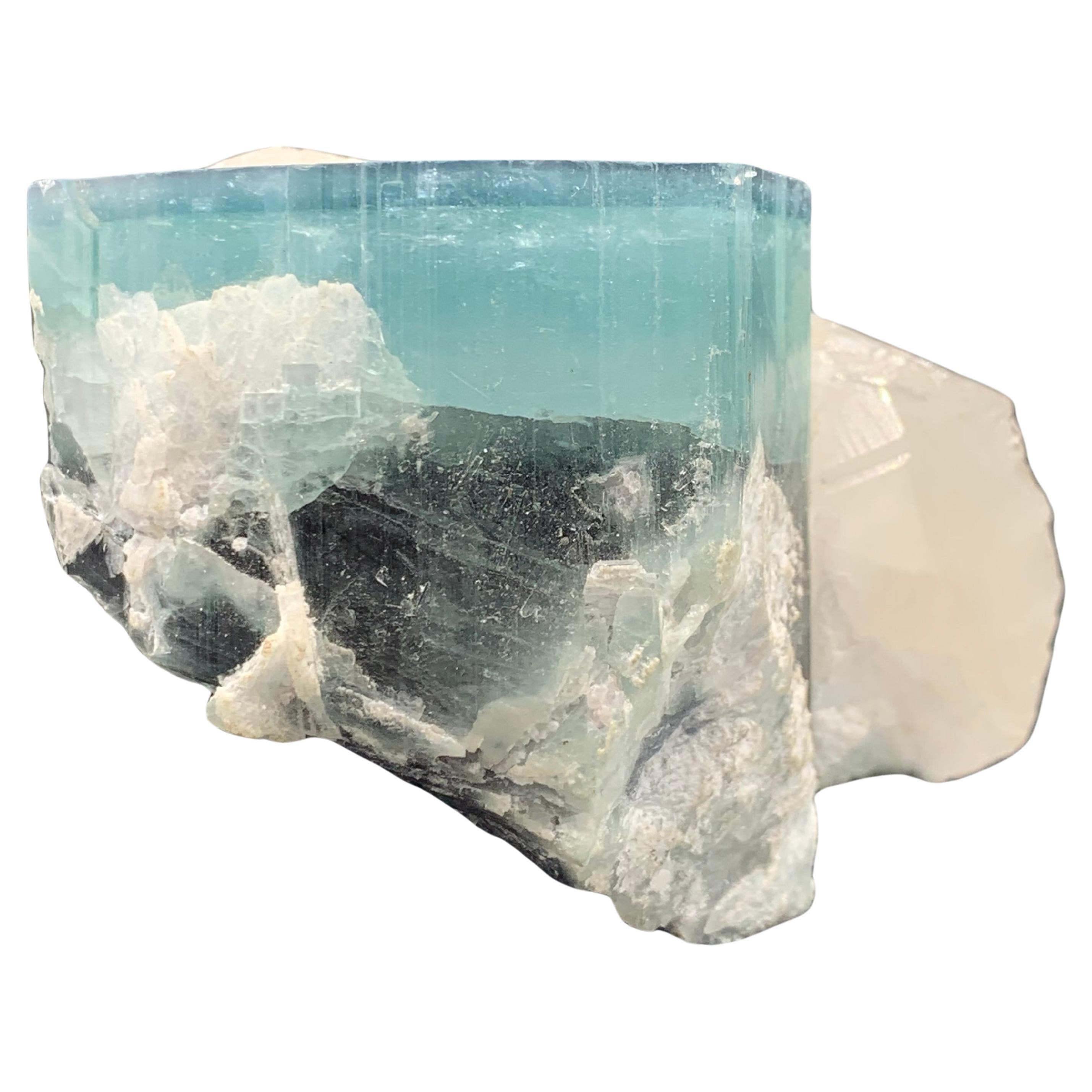 150 grammes de tourmaline bicolore attachées à un quartz d'Afghanistan 