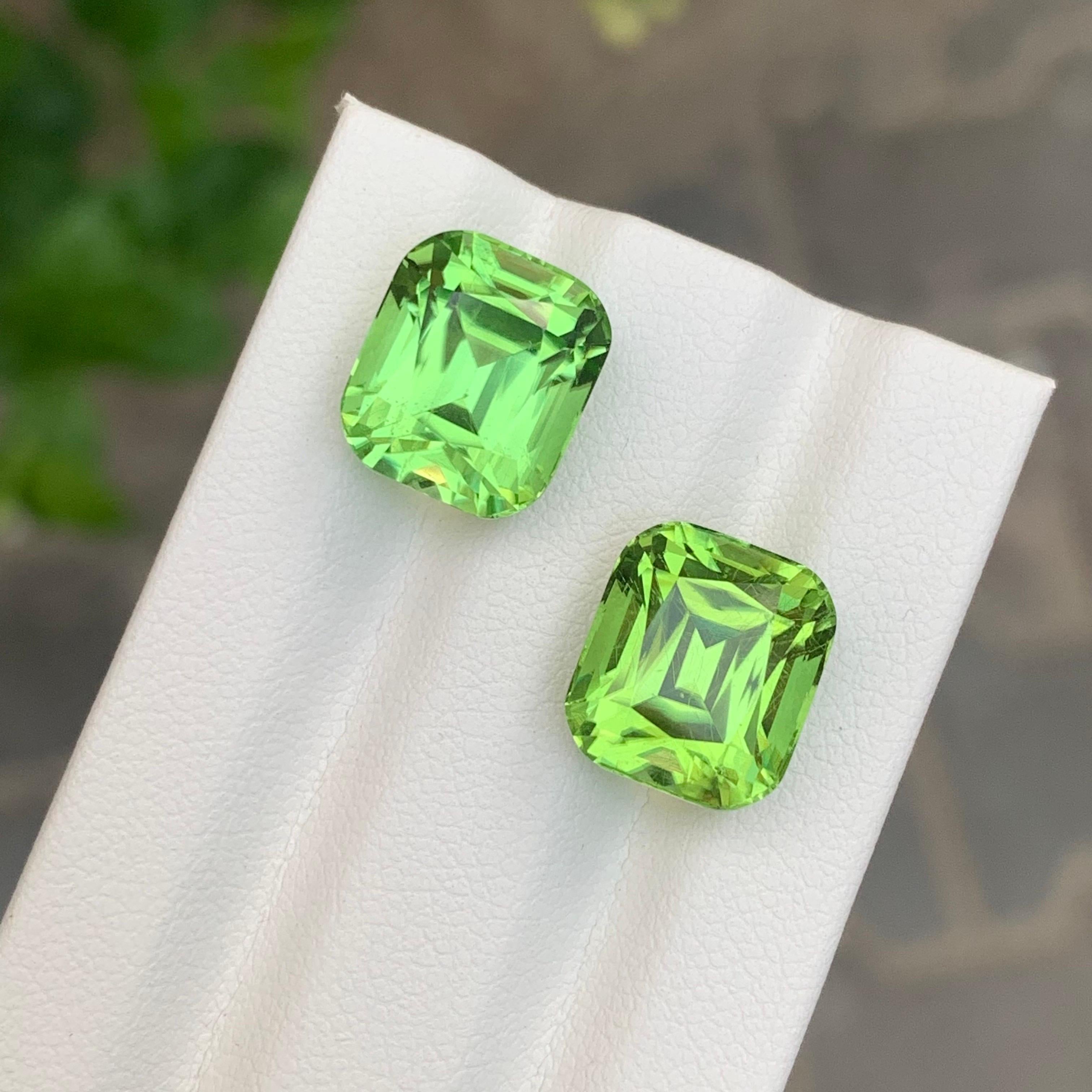 Coppia di peridoto sfuso 

Peso: 15,00 Carati
Dimensioni: 11,3 x 10 x 7,9 mm
                    11.3 x 9.9 x 8.1 Mm 
Origine: Valle di Supat, Pakistan
Forma: Cuscino
Colore: verde
Trattamento: Non

Il peridoto del Pakistan è una straordinaria
