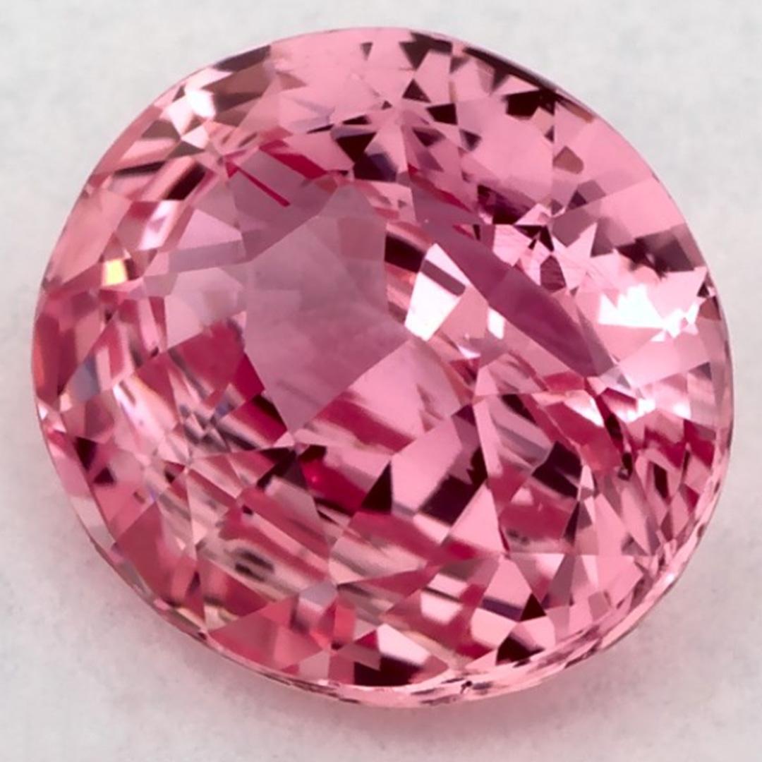 Taille ovale 1.51 Ct Pink Sapphire Oval Certified Loose Gemstone (pierre précieuse en vrac) en vente