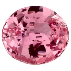 1.51 Ct Pink Sapphire Oval Certified Loose Gemstone (pierre précieuse en vrac)