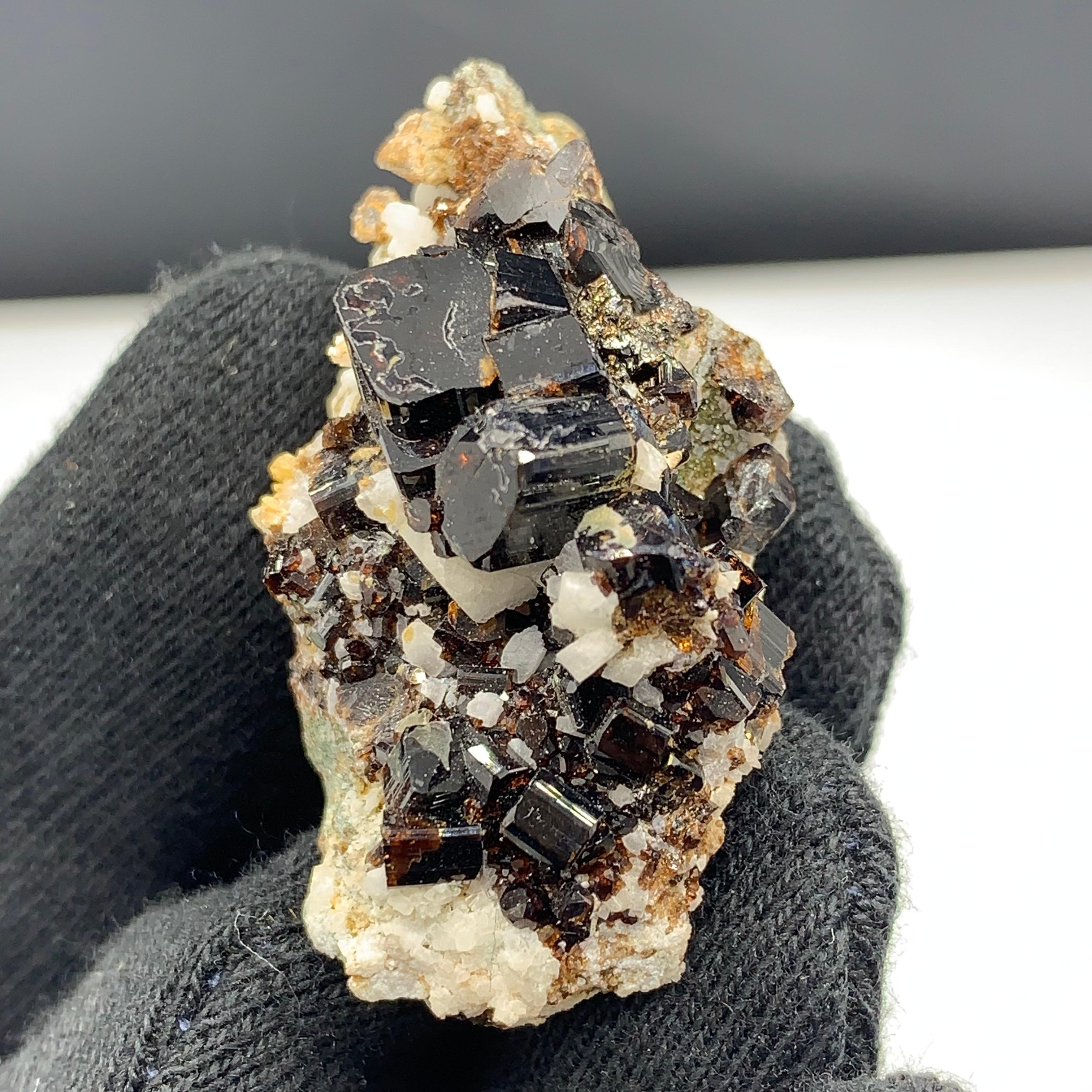 151,25 Karat Schönes seltenes, seltenes Gefäß aus Kpk, Pakistan (Bergkristall) im Angebot
