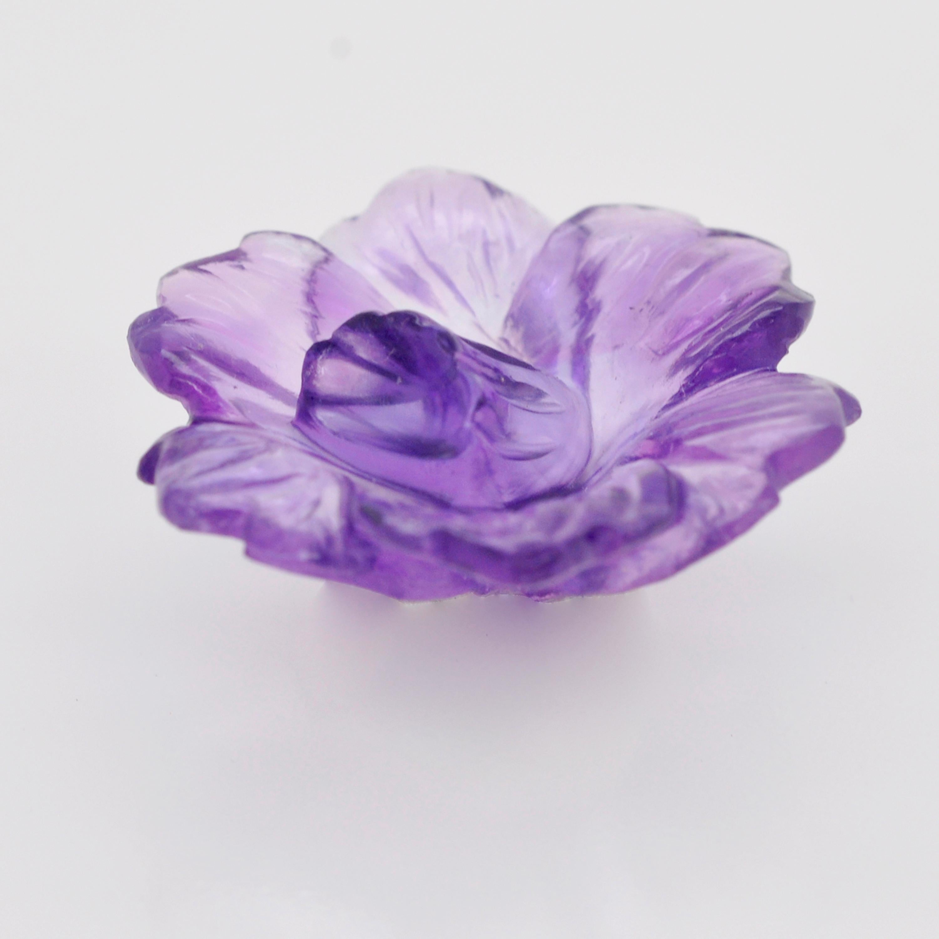 purple daffodil