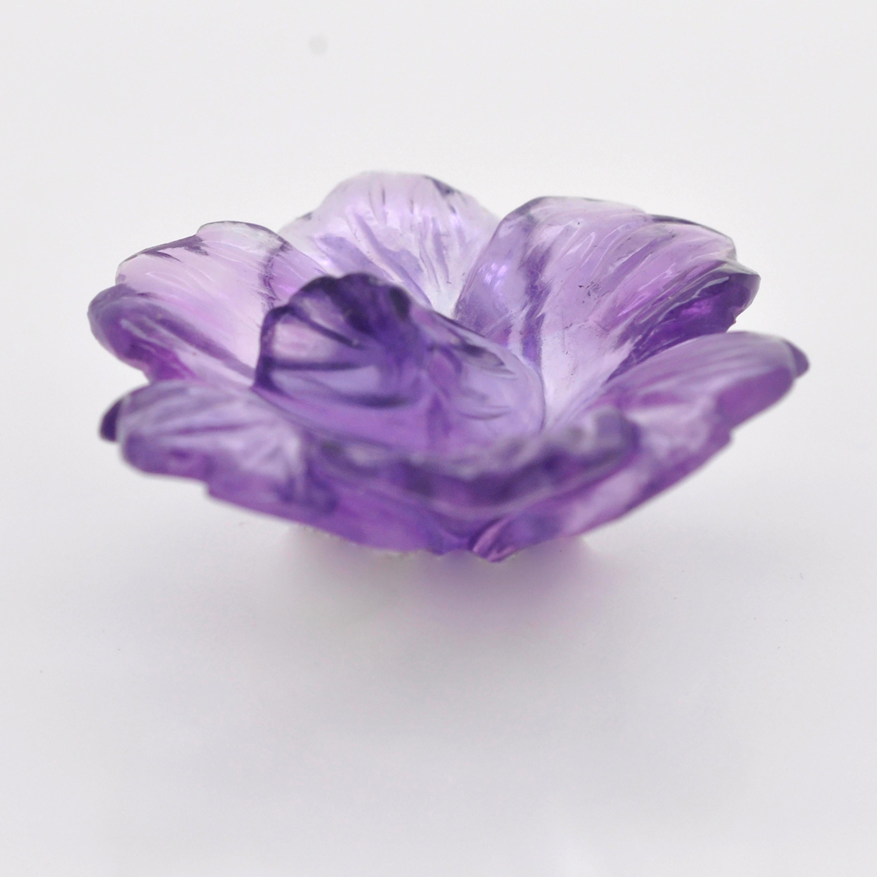 daffodil purple