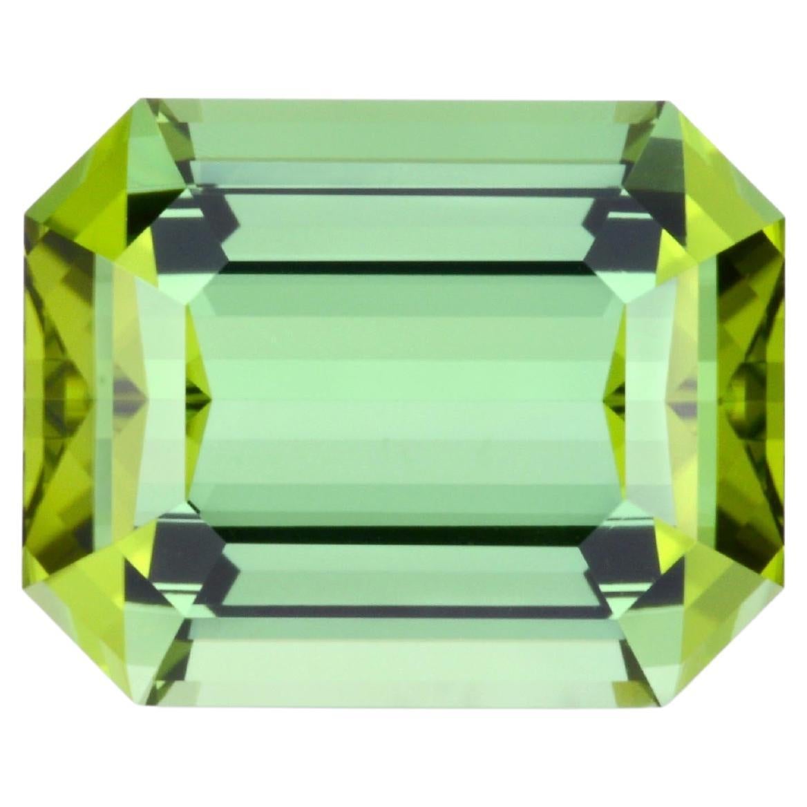 15.14 Carat Emerald Cut Mint Green Tourmaline – Fine Luxury Loose Gemstone For Sale
