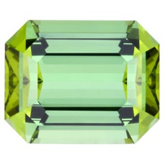 Turmalina verde menta talla esmeralda de 15,14 quilates - Gema suelta fina de lujo