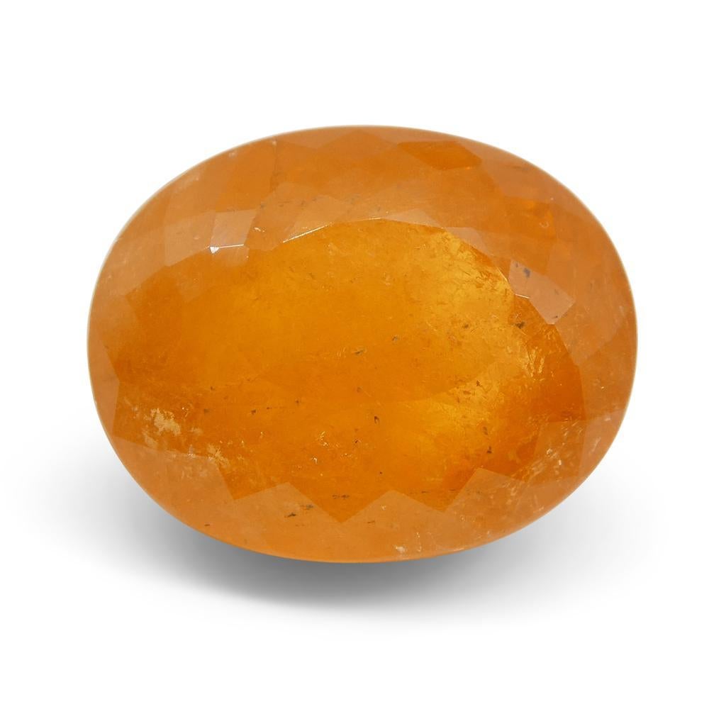 15.14ct Oval Fanta Orange Mandarin Spessartite/Spessartine Garnet For Sale 5