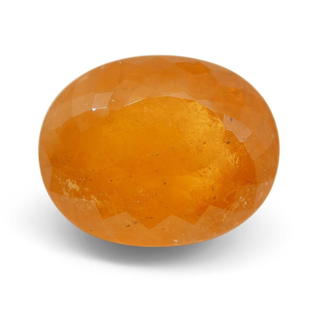 15.14ct Oval Fanta Orange Spessartite/Spessartine Garnet For Sale 5