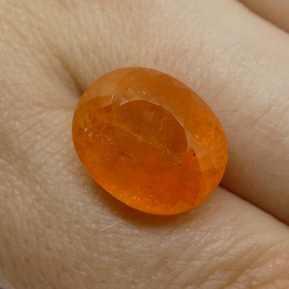 Description:

Gem Type: Spessartite Garnet 

Number of Stones: 1
Weight: 15.14 cts
Measurements: 14.65x12.00x8.98 mm
Shape: Oval
Cutting Style Crown: Modified Brilliant
Cutting Style Pavilion: Mixed Cut
Transparency: Semi-Transparent
Clarity:
