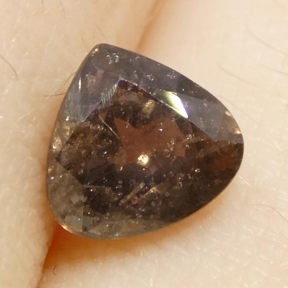 Zaffiro marrone-rosa a pera da 1,51ct della Tanzania non riscaldato in vendita 7