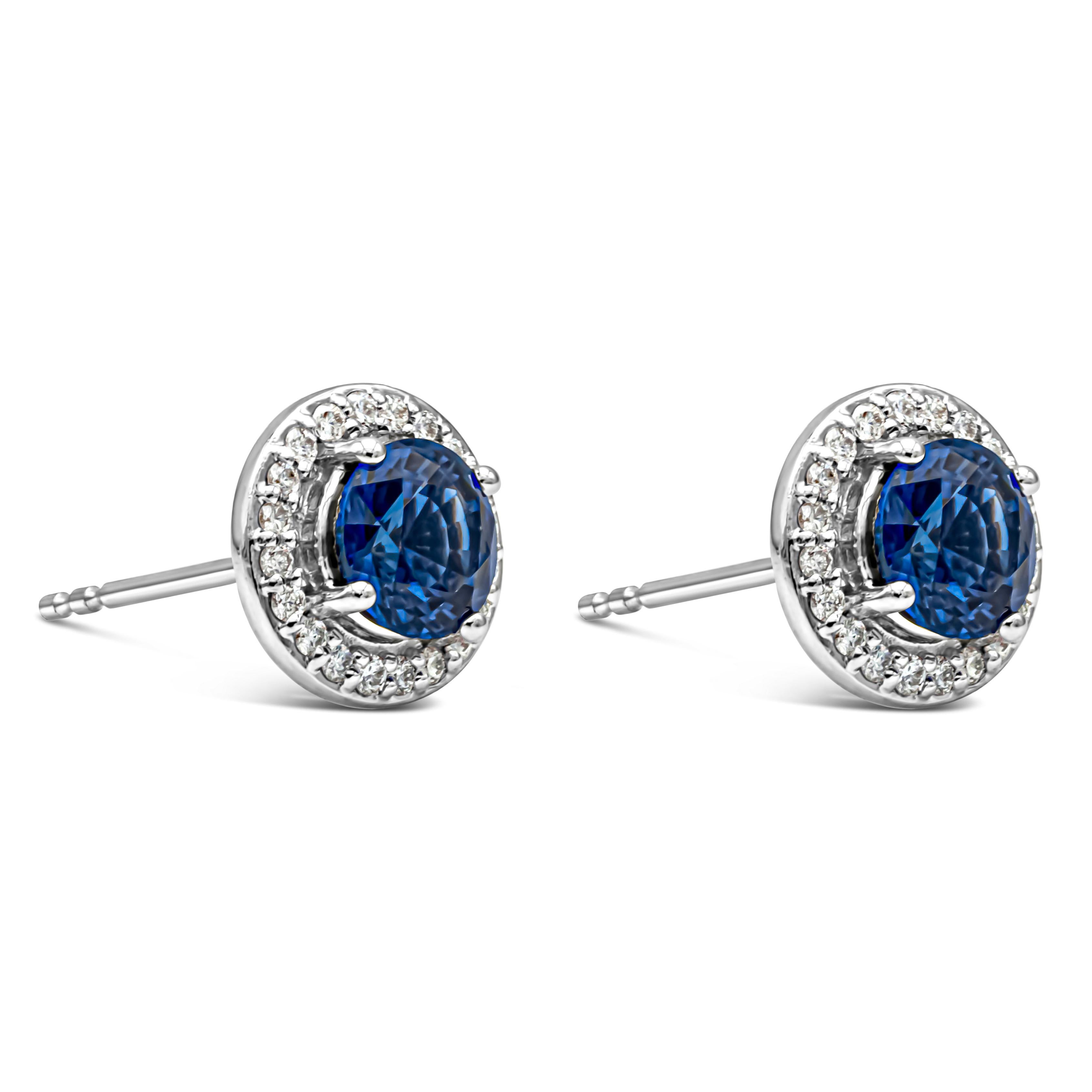 A simple and versatile pair of stud earrings showcasing 1.52 carats total round cut royal blue sapphires, set in a four prong basket setting. Surrounded by a single row of brilliant round diamonds weighing 0.21 carats total, F Color and VS in
