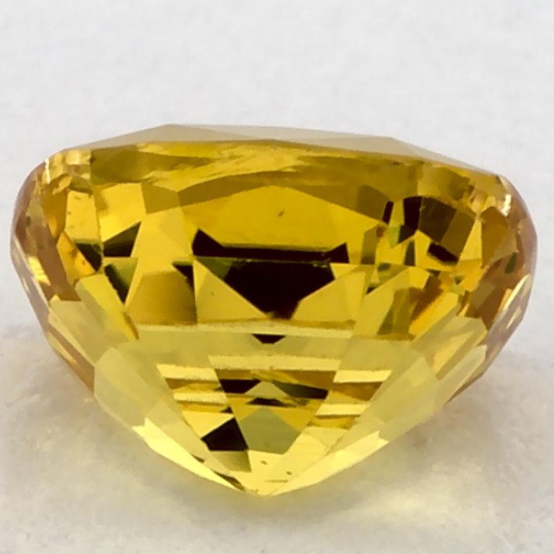 1.52 Ct Yellow Sapphire Cushion Loose Gemstone (pierre précieuse en vrac) Neuf - En vente à Fort Lee, NJ