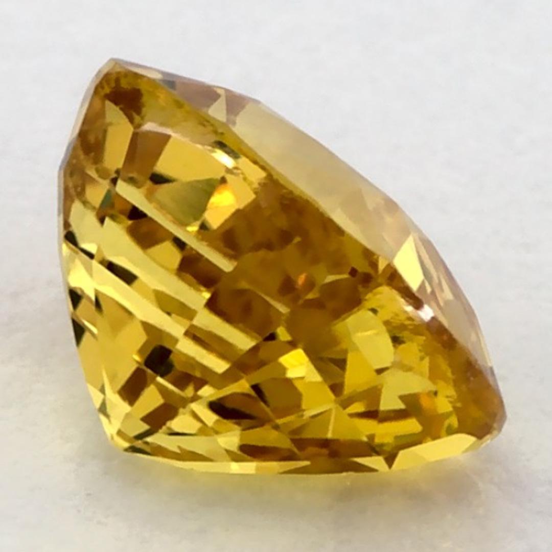 1.52 Ct Yellow Sapphire Cushion Loose Gemstone (pierre précieuse en vrac) en vente 1