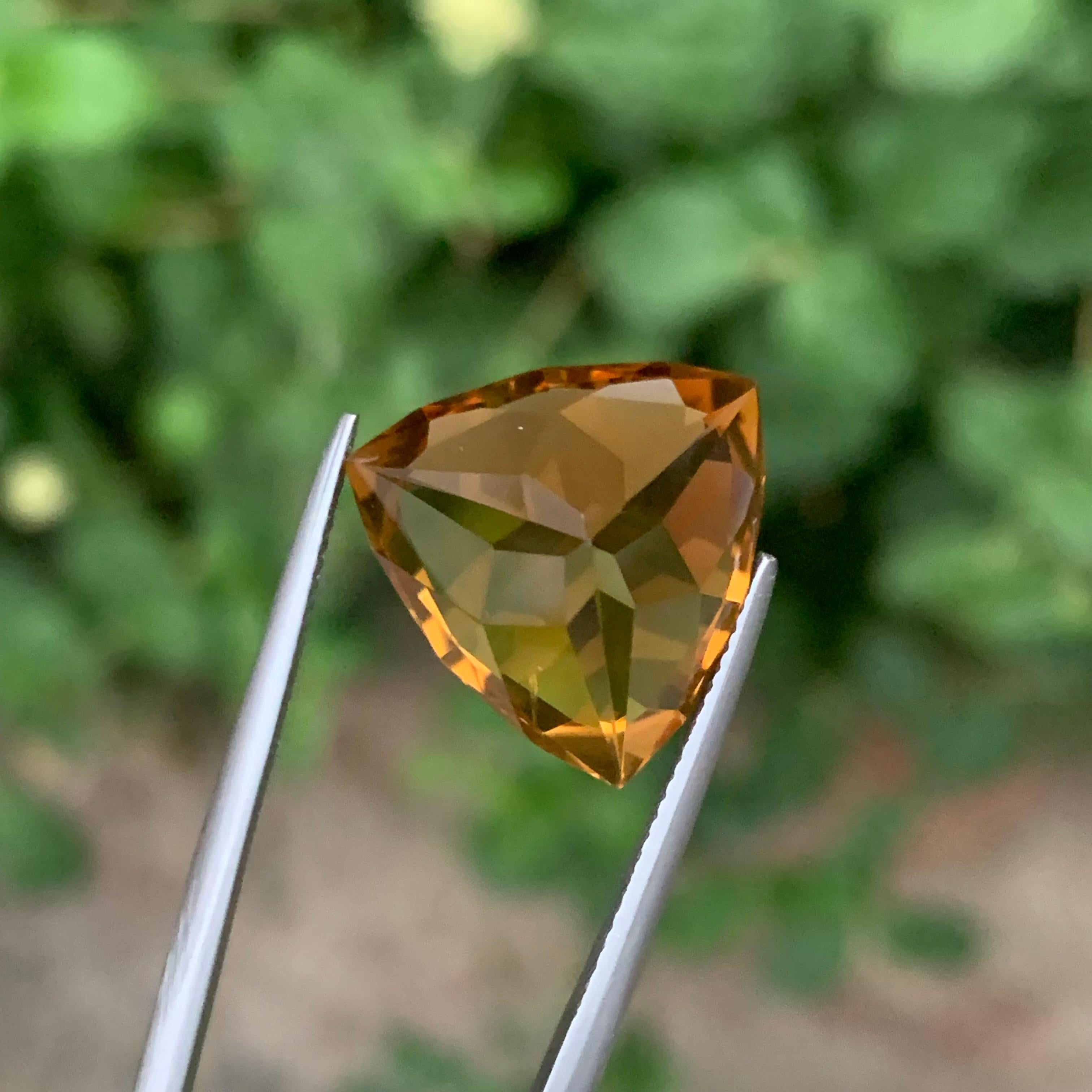 15.25 carats Citrine miel en vrac Forme trillion Neuf - En vente à Brisbane, AU