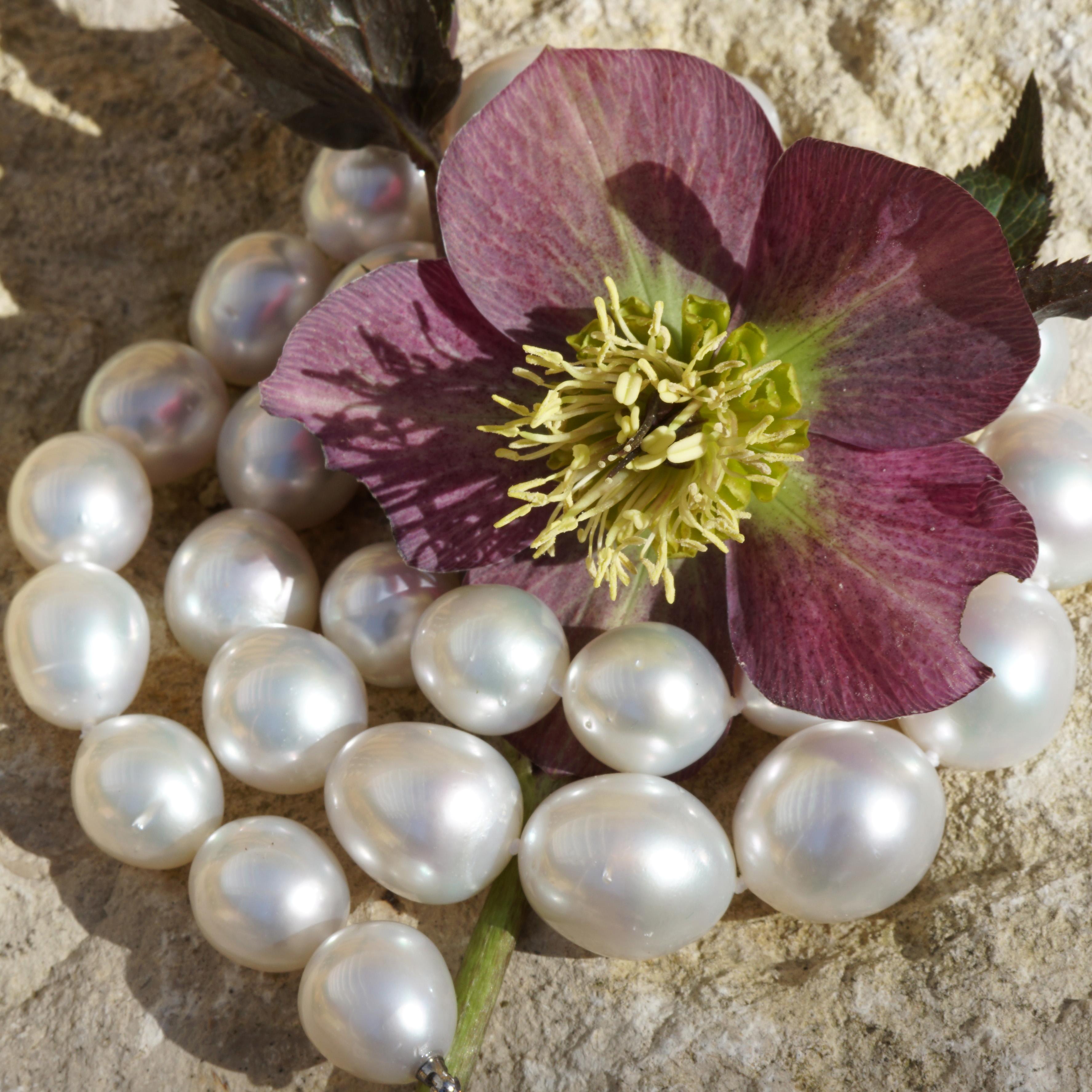 15 bis 12 mm AAA+ Südsee Perlenkette Feine Weiße Farbe Große Qualität Luster im Zustand „Neu“ im Angebot in Viena, Viena