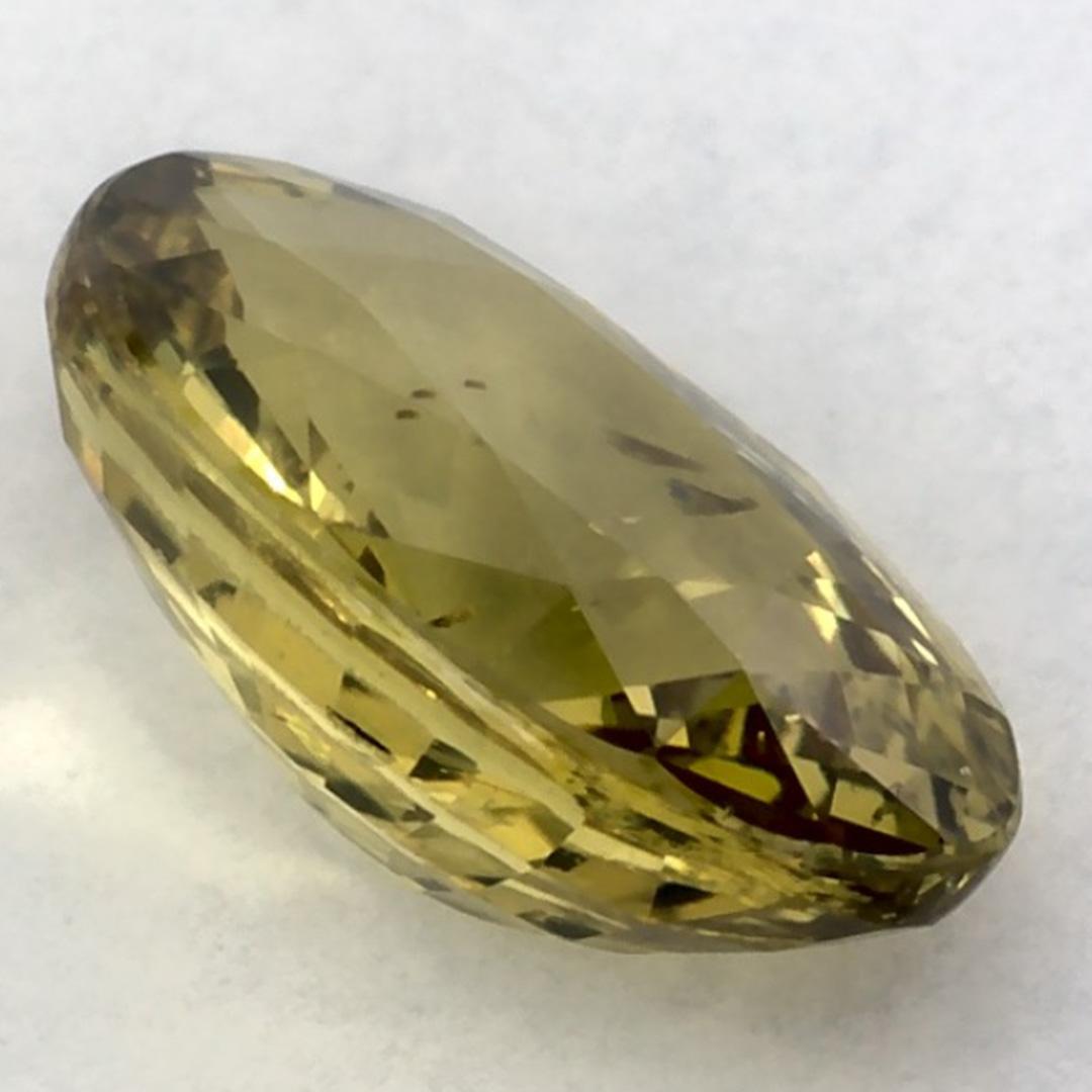 1.53 Ct Green Sapphire Oval Loose Gemstone (Saphir vert ovale en vrac) en vente 1