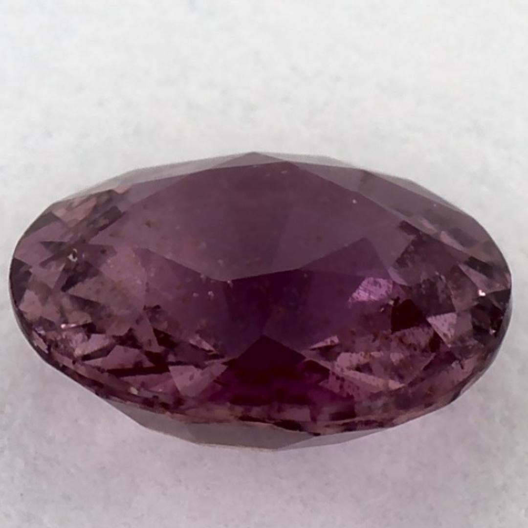 1.53 Karat Rosa Saphir Rund Lose Edelstein im Zustand „Neu“ im Angebot in Fort Lee, NJ