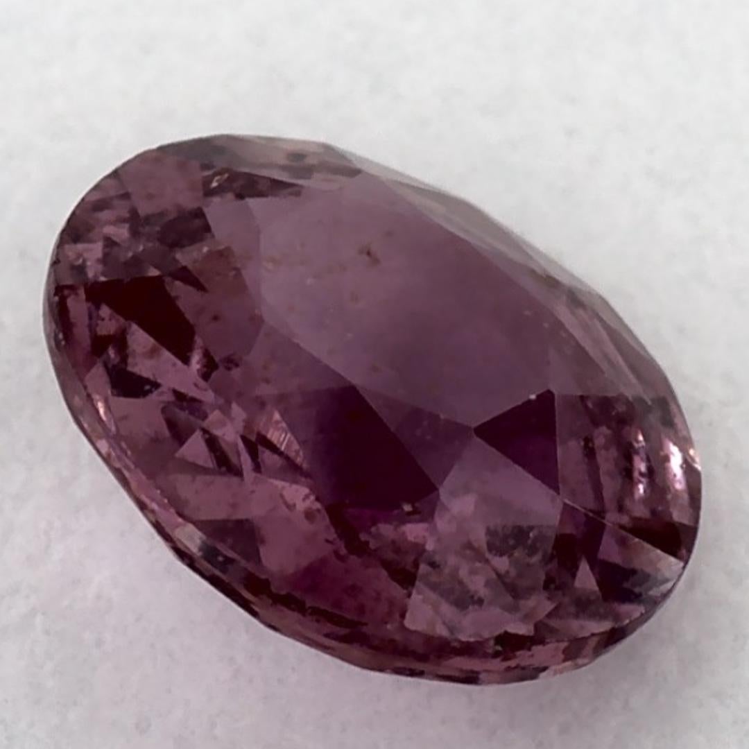 1.53 Karat Rosa Saphir Rund Lose Edelstein im Angebot 1