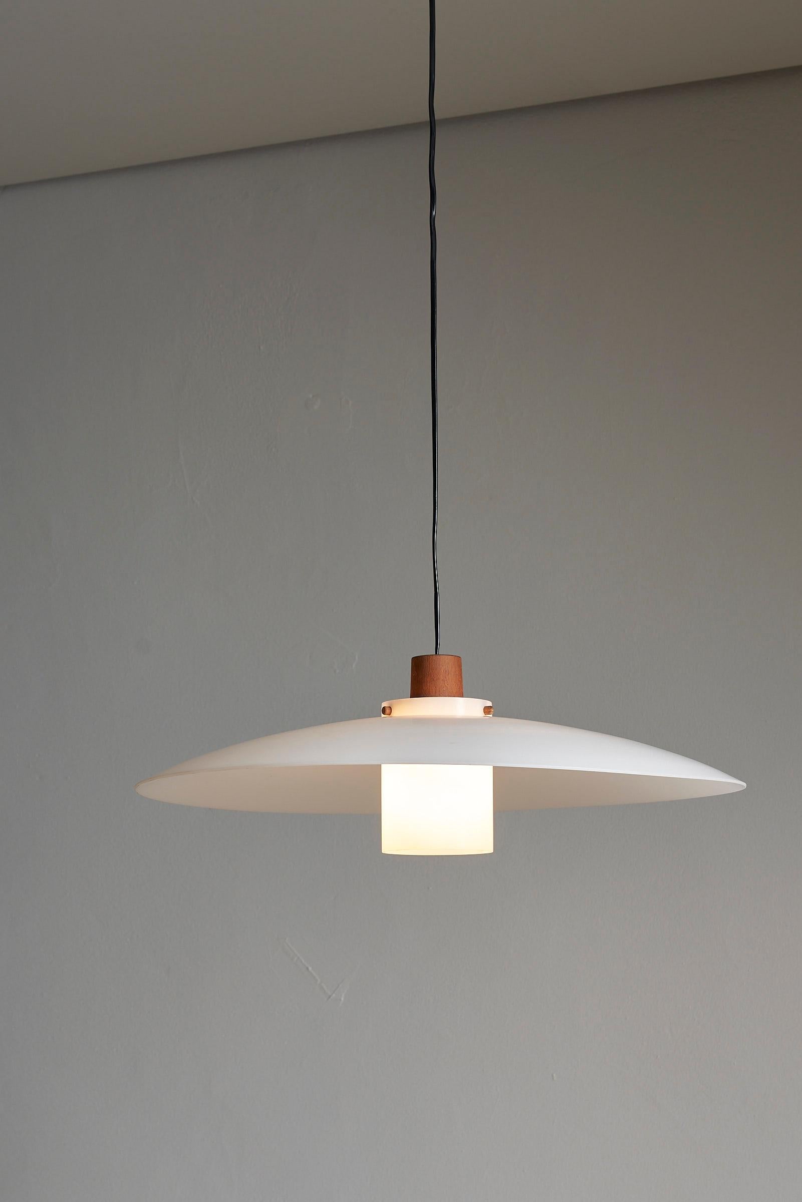 Mid-Century moderno Ciondolo Nature 